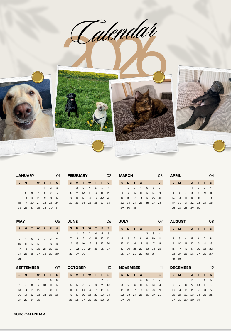 Magnets Calendar A4 210mm x 297mm with personalization