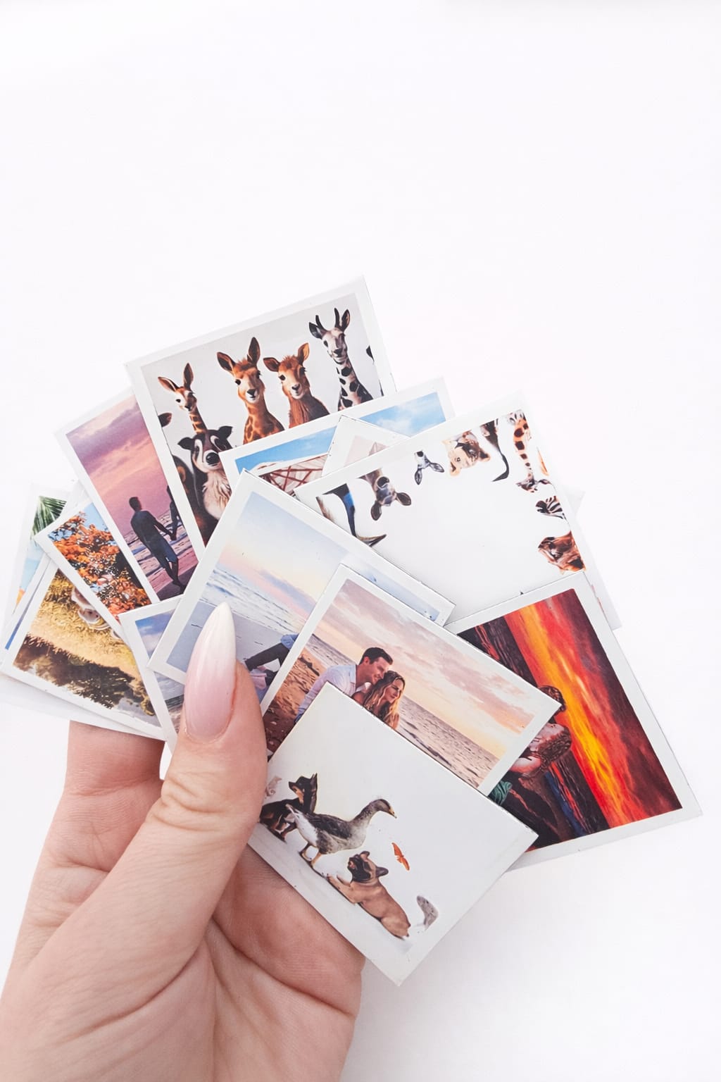 Photo Magnet 50mm x 50 mm - Bundles - personalized