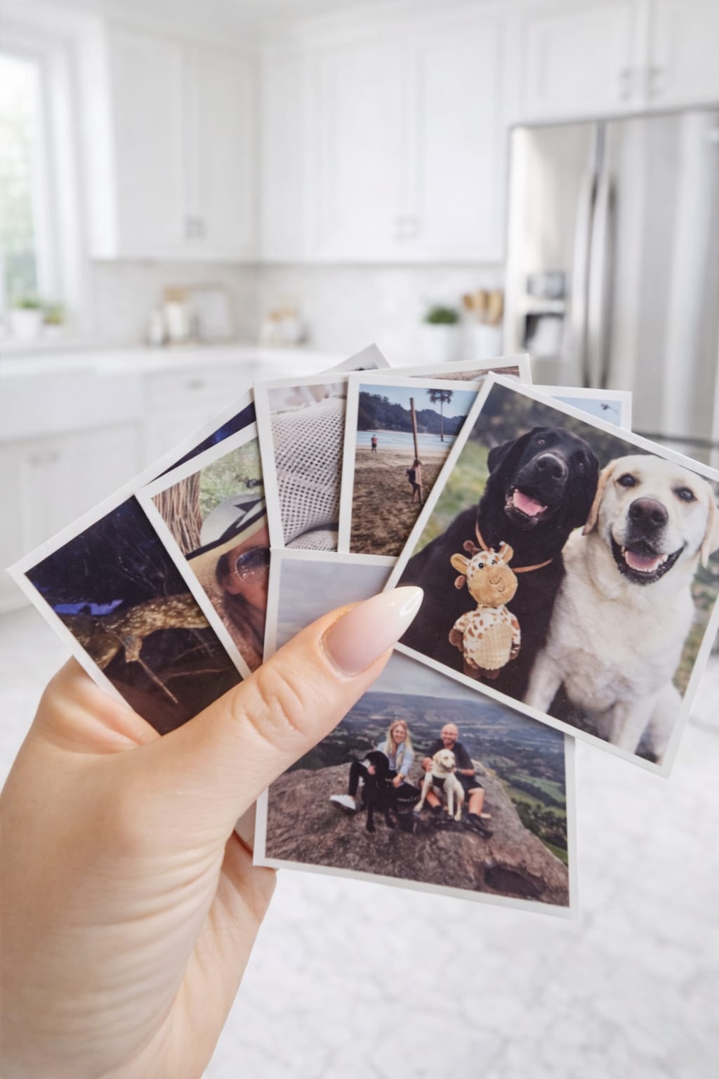 Photo Magnet 70mm x 70 mm -  Bundles - personalized