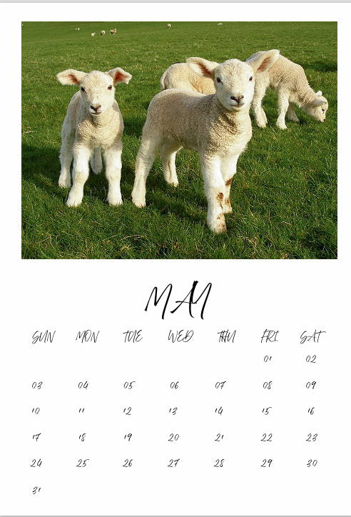 Calendar single month B7 130mm x 90mm without personalization