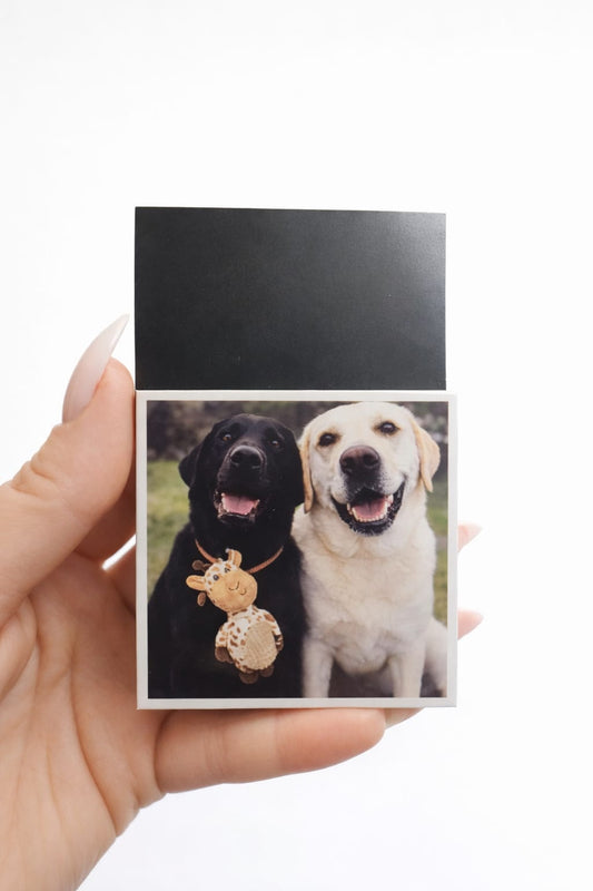 Single Photo Magnet 70mm x 70mm - personalized