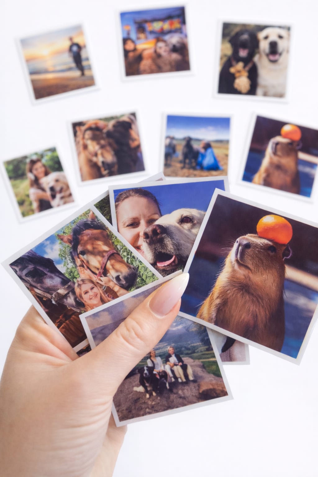 Photo Magnets 70mm x 70mm - Bundle 16 pcs - personalized